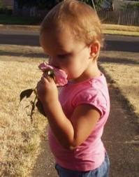 The Sense of Smell in infants