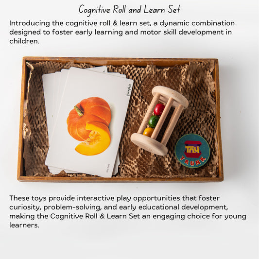 Wooden Cognitive roll and learn set