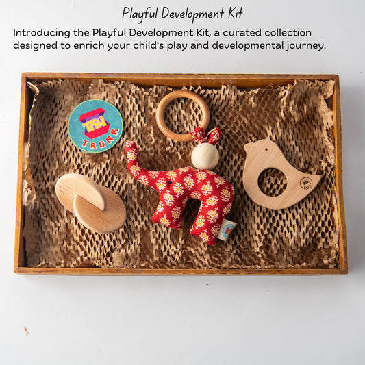 Wooden Playful development kit