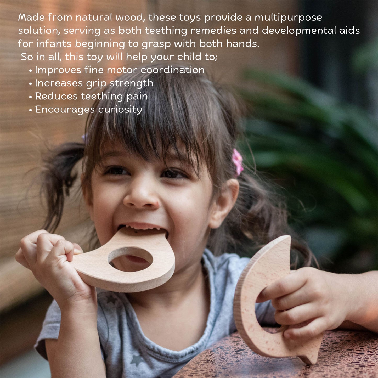 Wooden Bird teether & interlocking disc