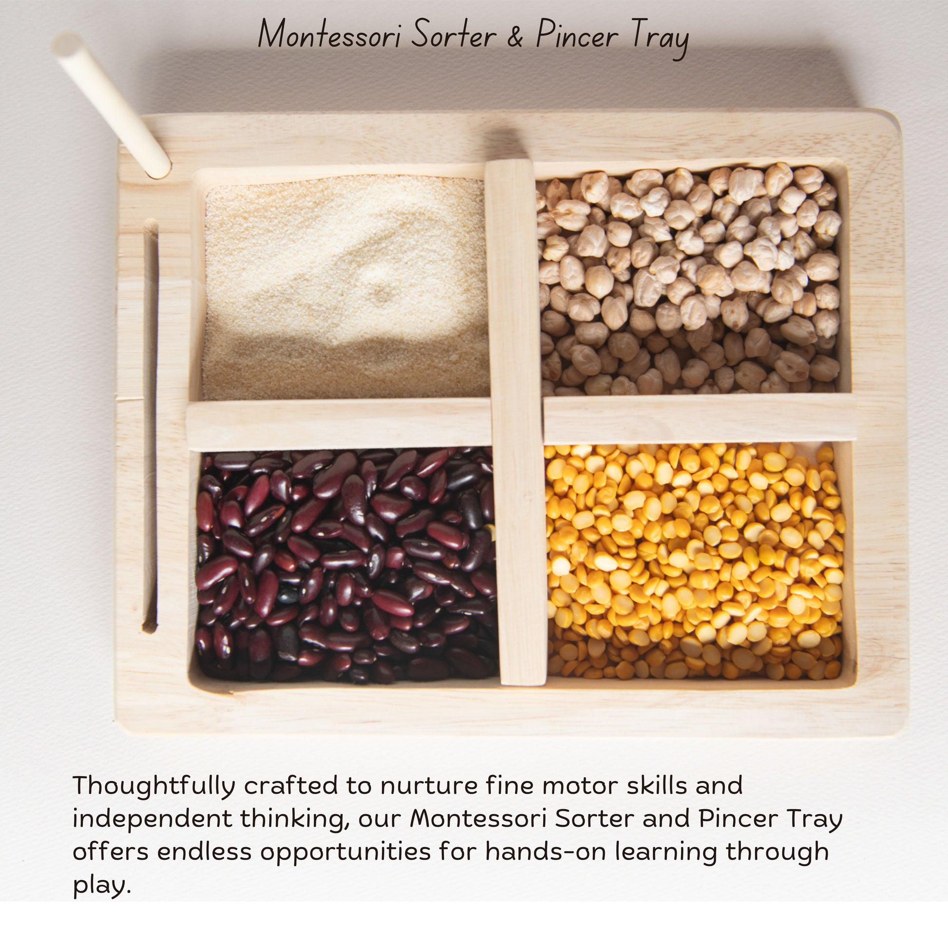 Top view of Montessori Wooden Sorting Tray for toddlers, wooden sorter toy for sorting grains.