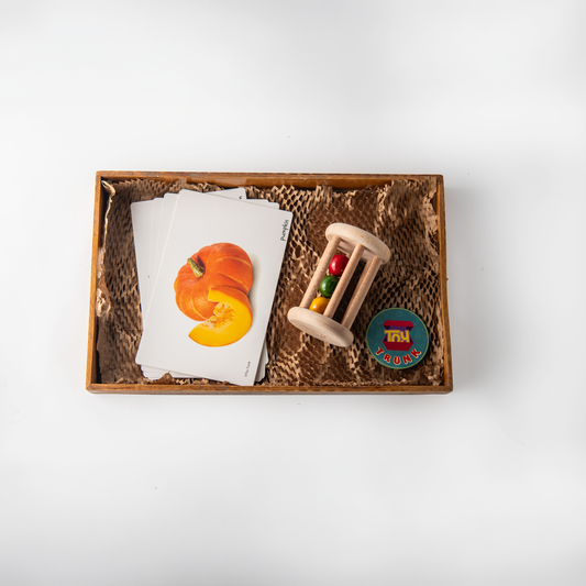 Wooden Cognitive Roll and Learn Set The Toy Trunk – rolling rattle and vegetable flash cards for toddlers, Montessori wooden toy